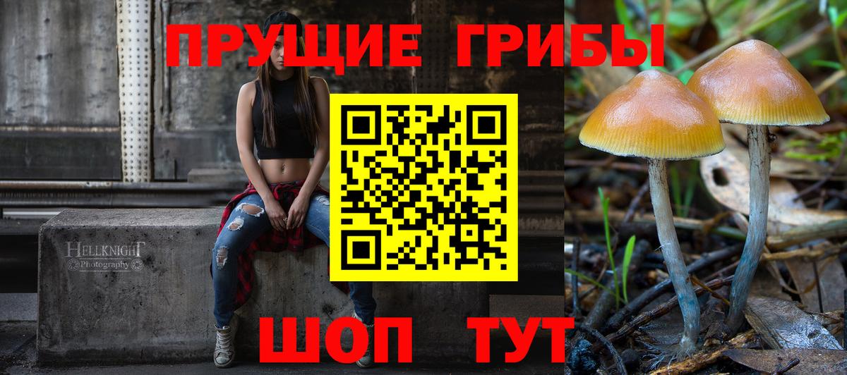 Заинск  Галлюциногенные грибы Magic Shrooms  даркнет сайт  Вход с VPN 
