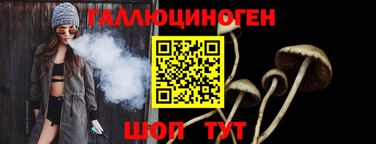 Псилоцибиновые грибы мицелий Заинск